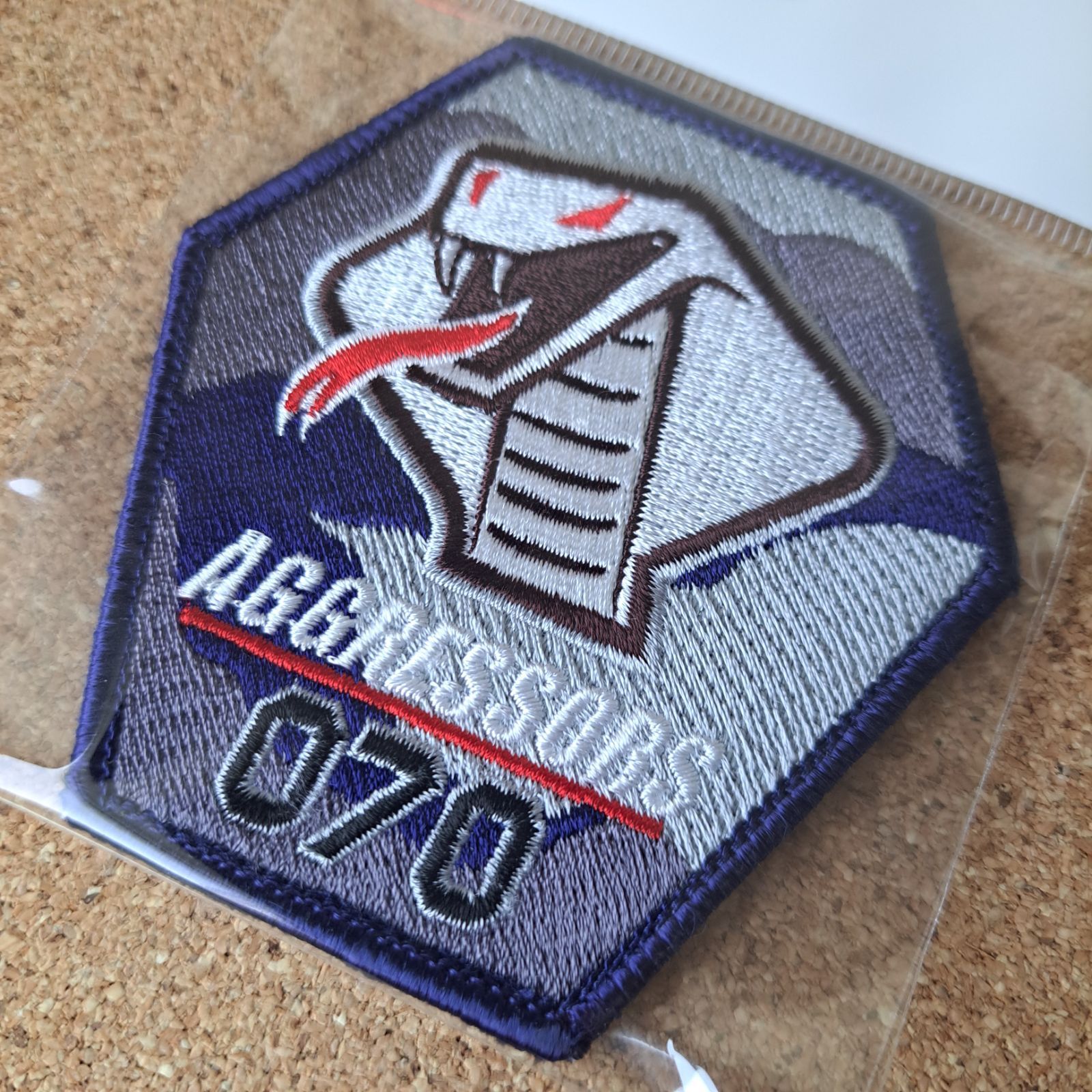 航空自衛隊 小松基地 飛行教導群 AGGRESSORS F-15DJ イーグル 070号機