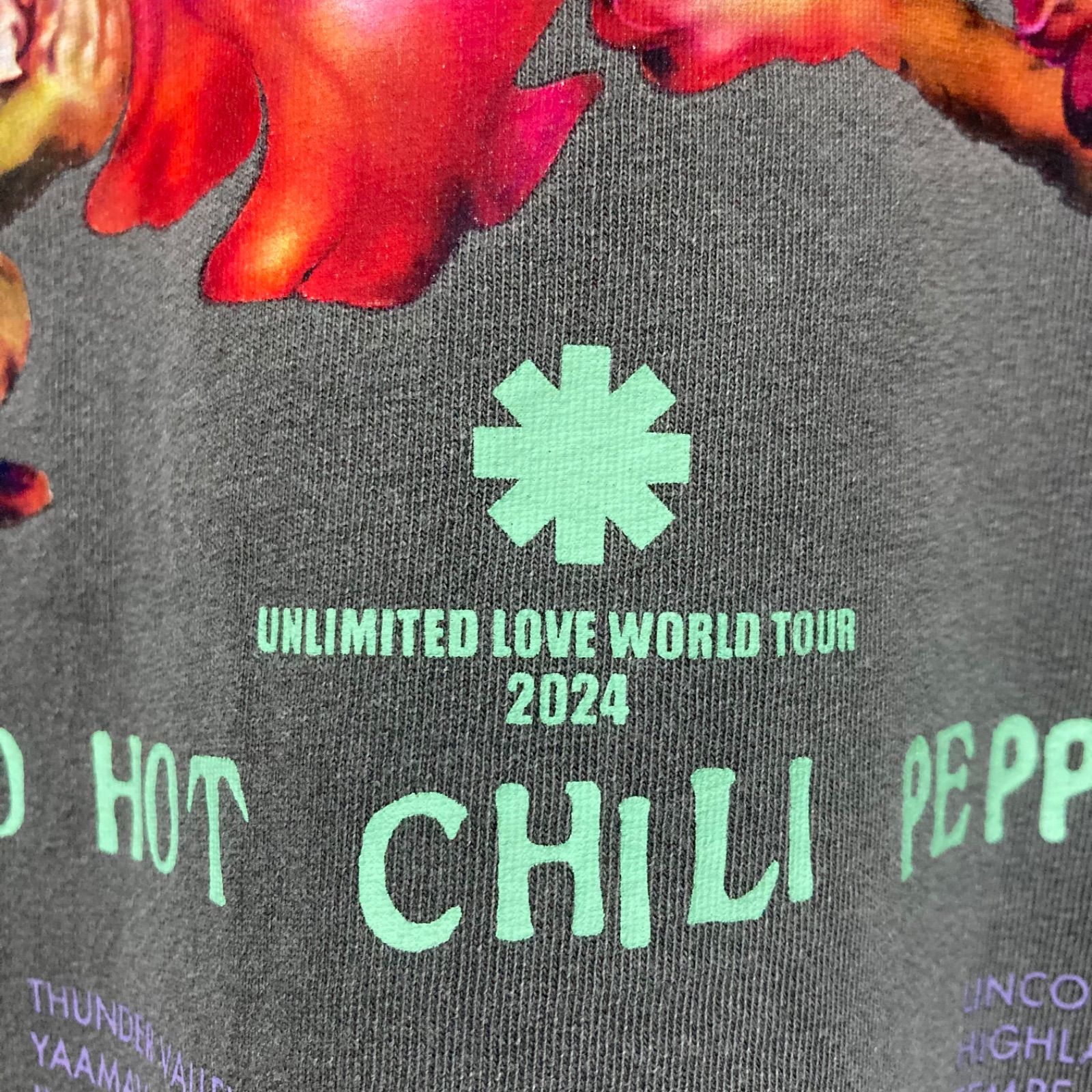 レッチリ　2024年ツアーTシャツ　Mサイズ RED HOT CHILI PEPPERS Tシャツ M レッチリ ツアー 2024 - メルカリ