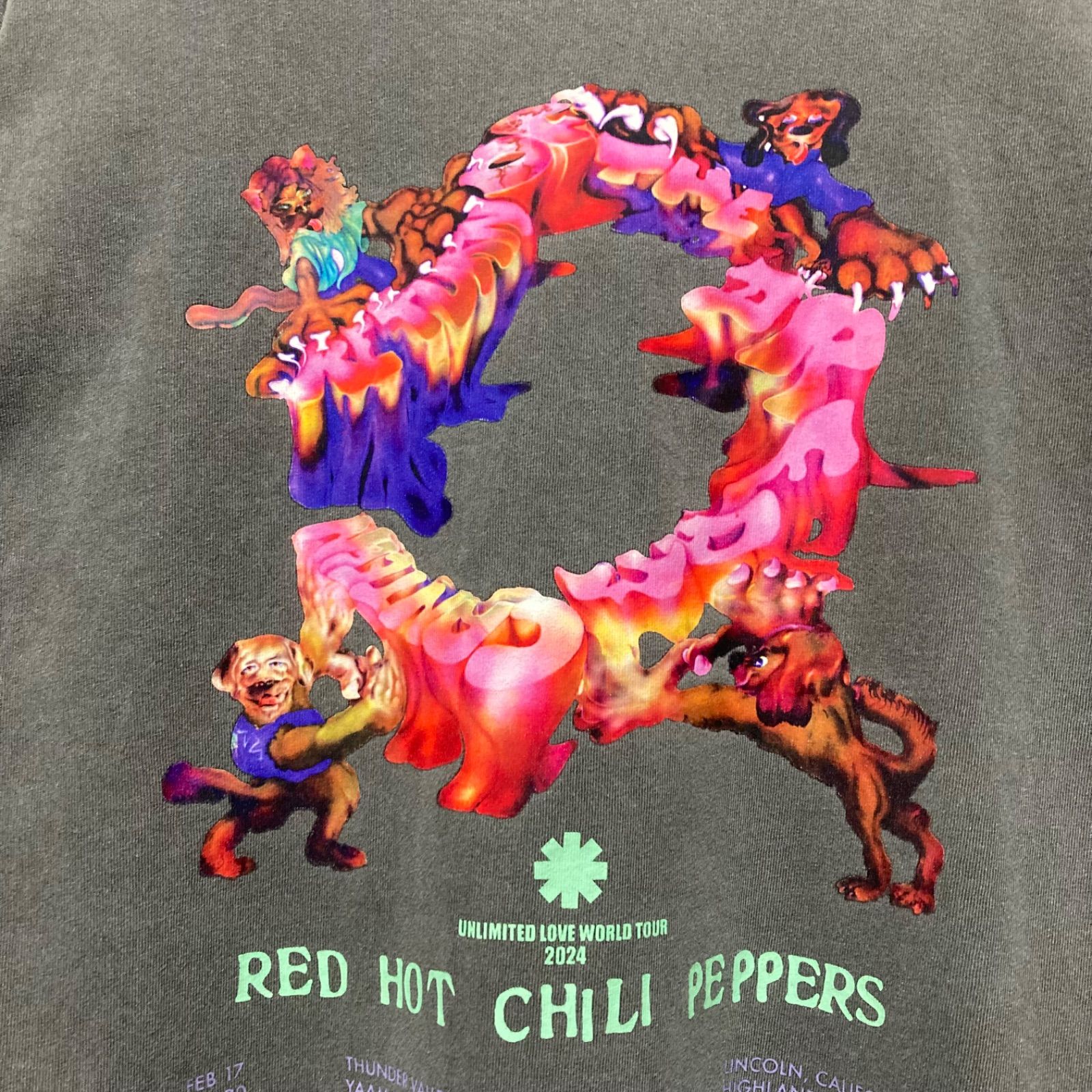 レッチリ　2024年ツアーTシャツ　Mサイズ RED HOT CHILI PEPPERS Tシャツ M レッチリ ツアー 2024 - メルカリ
