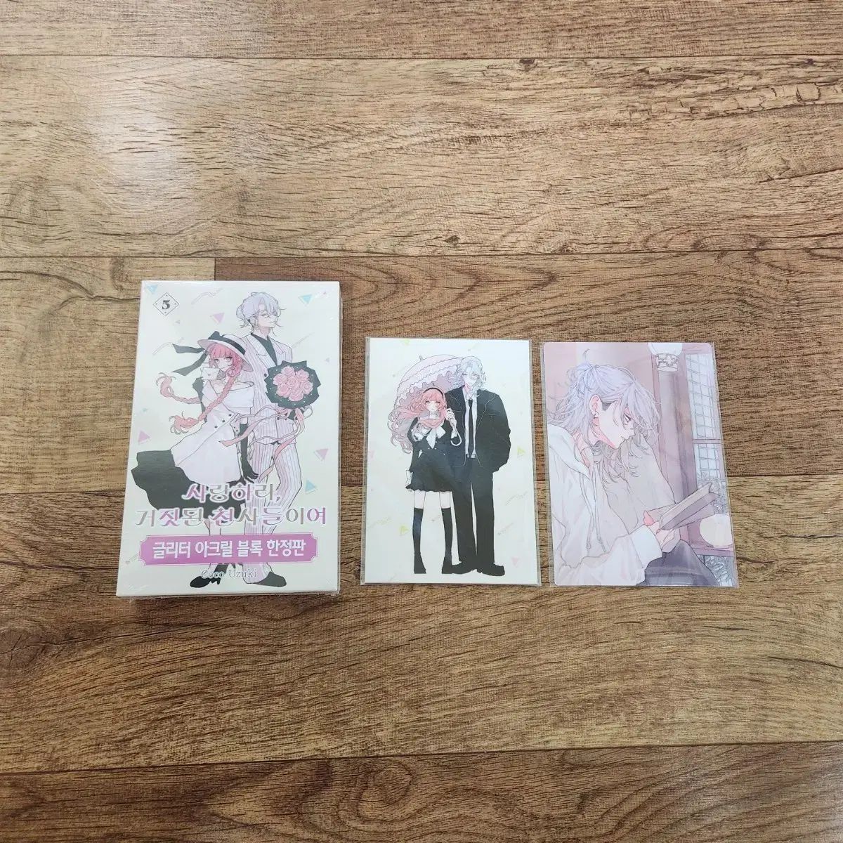 愛せ 偽りの 天使たち サゴチョン 5 巻 限定モデル 未開封 純情 漫画