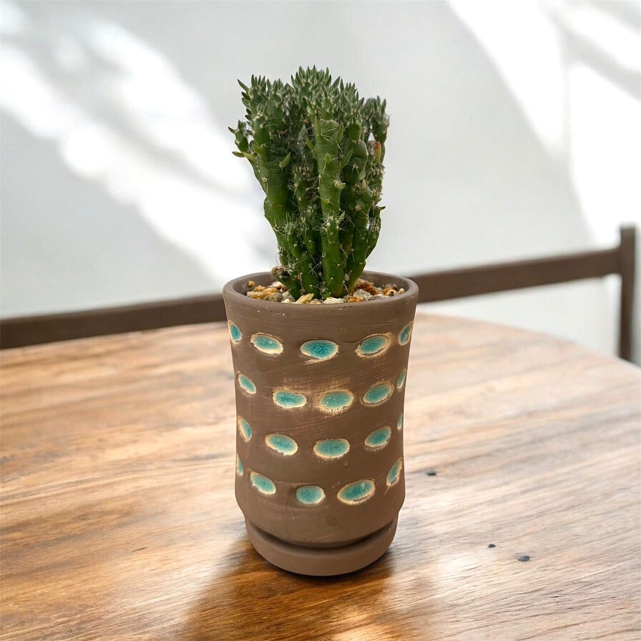 植木鉢 花器 陶器 ブラウン ターコイズ ドット柄 底穴あり 受け皿付き