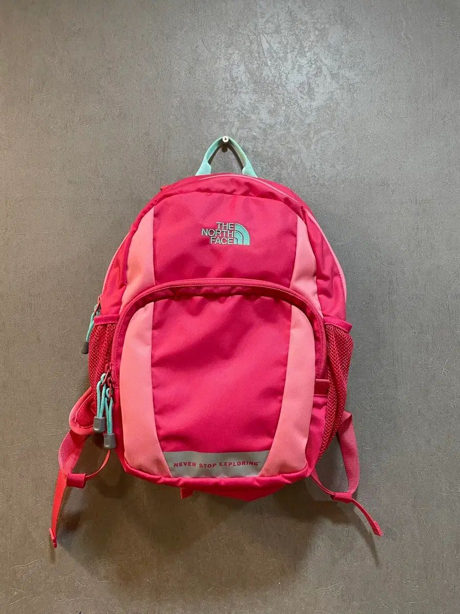 THE NORTH FACE ザノースフェイス ピンク バックパック (小学 )
