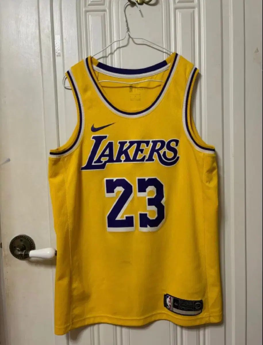 NBA レブロン ジェームス スウィングマン ジャージ