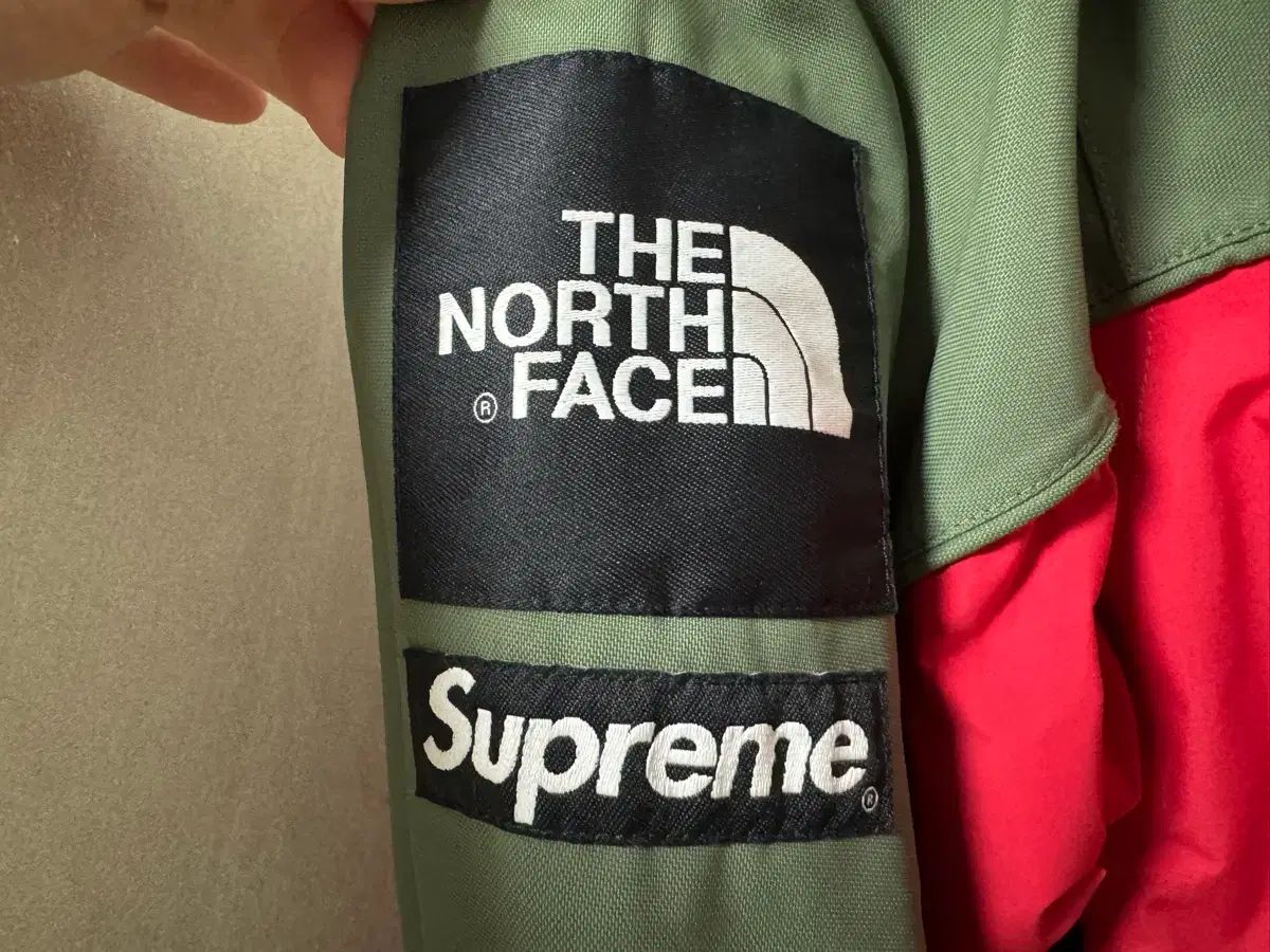 L シュプリーム THE NORTH FACE ザノースフェイス スティープテック 