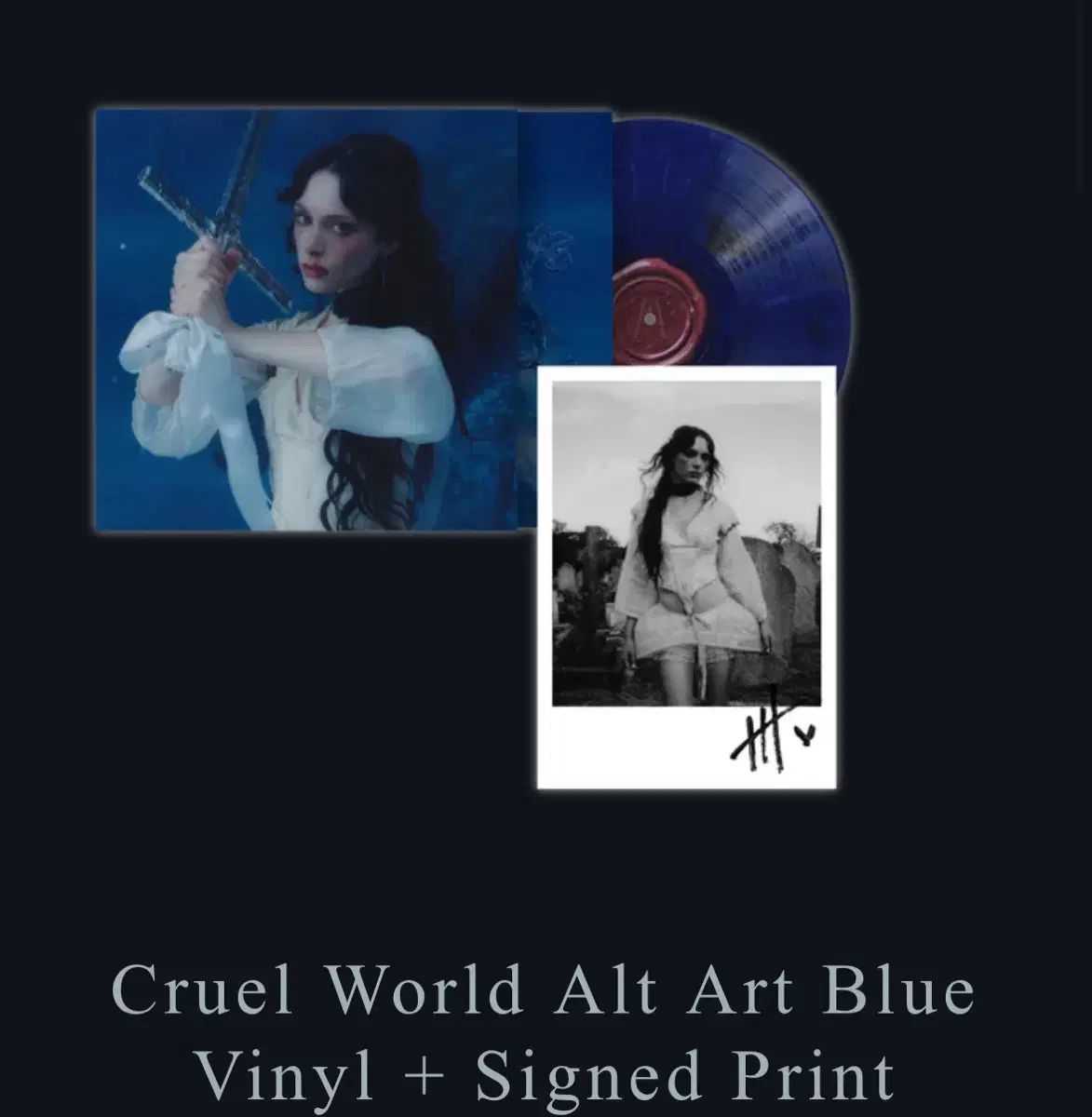 ホリー ハンバースン Cruel World サイン入り lp 限定版 限定盤 期間限定 COVER カバー