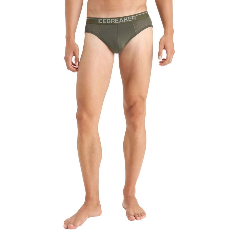 アイスブレーカー メンズ アンダーウェア ブリーフパンツ Icebreaker BodyFit 150Ultralite Anatomica Brief Mens Loden