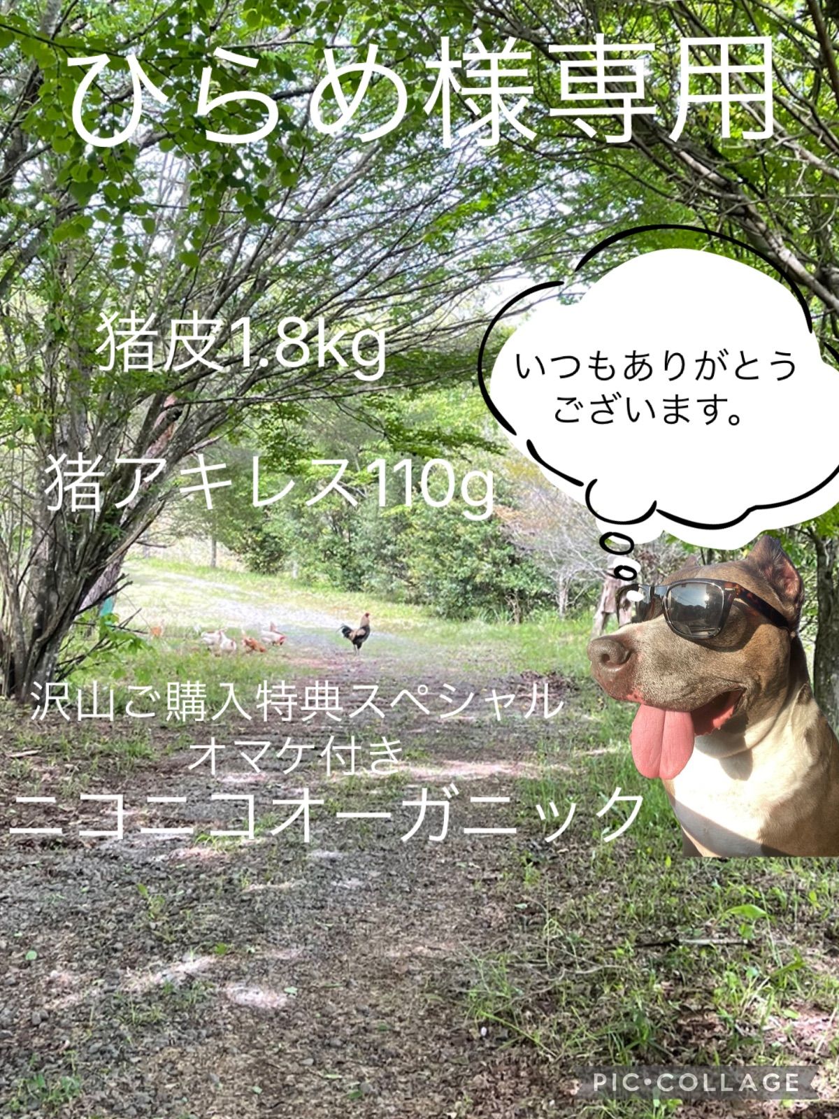 ひらめ様専用
