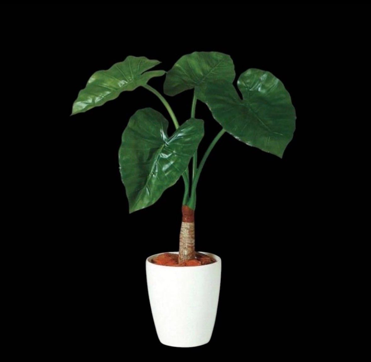 光触媒　人工観葉植物　ウォールグリーン　フェイクグリーン　クワズイモシングル70 光触媒 人工観葉植物 ウォールグリーン フェイクグリーン クワズイモ