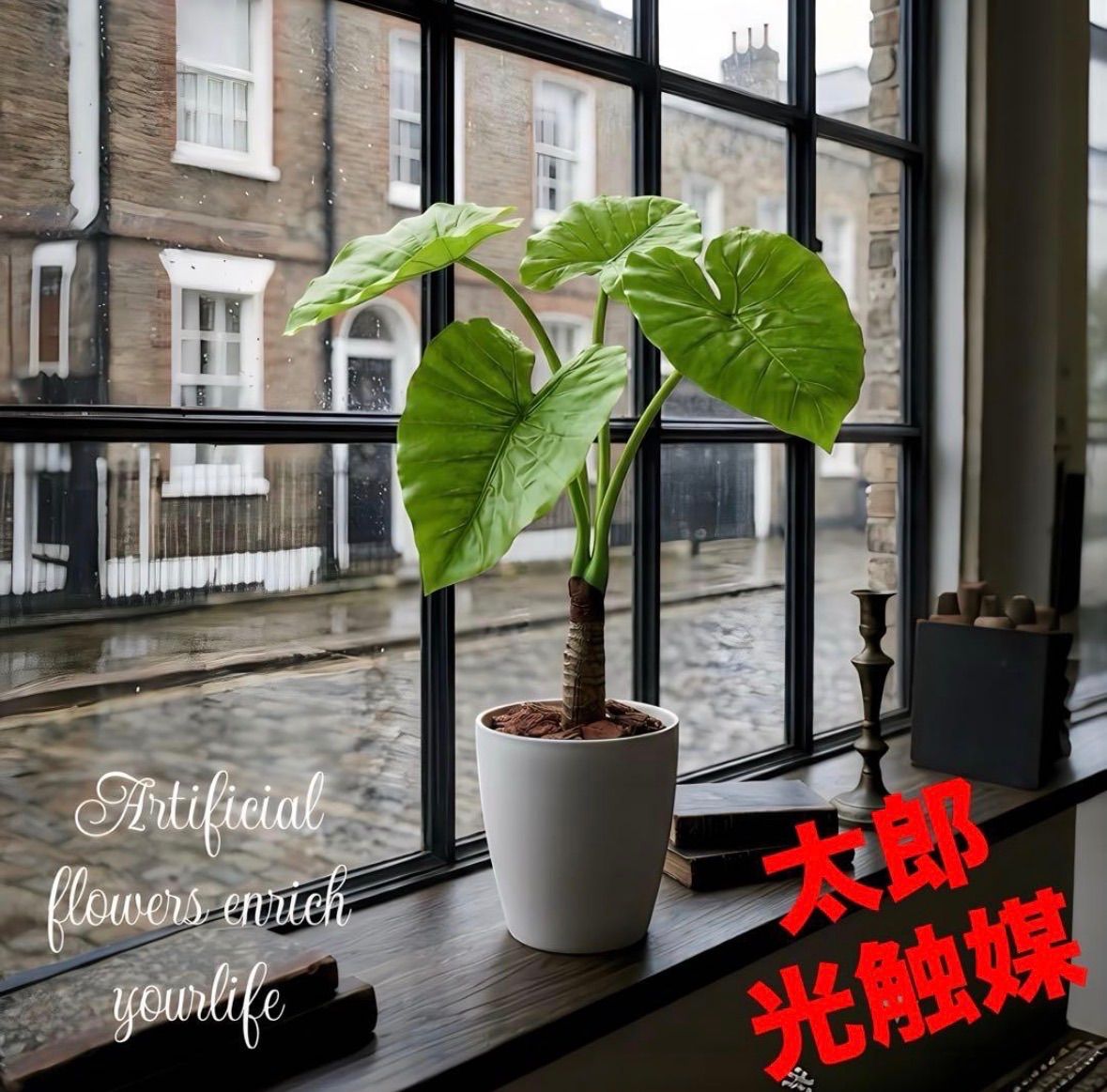 光触媒　人工観葉植物　ウォールグリーン　フェイクグリーン　クワズイモシングル70@@