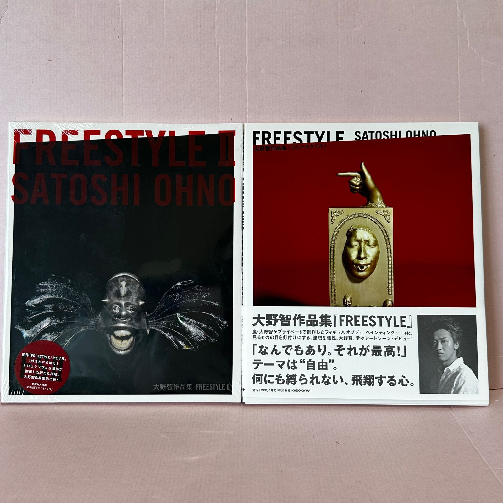 □嵐 大野智 FREESTYLE / FREESTYLEⅡ 2冊セット 中古品 smmetc096557