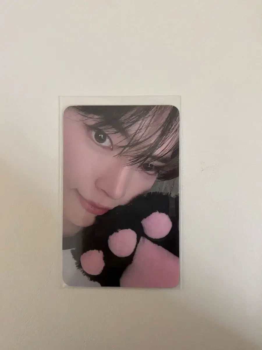 here&now ラストコンサート ラスコン Day3 ZEROSE ゼローズ ジョーン ソン・ハンビン(SUNG HANBIN) トレカ 出品
