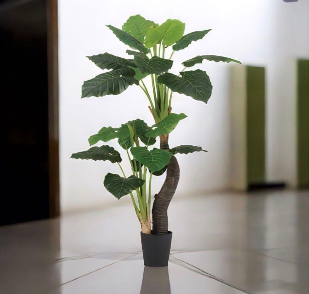 光触媒　人工観葉植物　ウォールグリーン　フェイクグリーン　クワズイモ株立160 光触媒 人工観葉植物 ウォールグリーン フェイクグリーン クワズイモ株