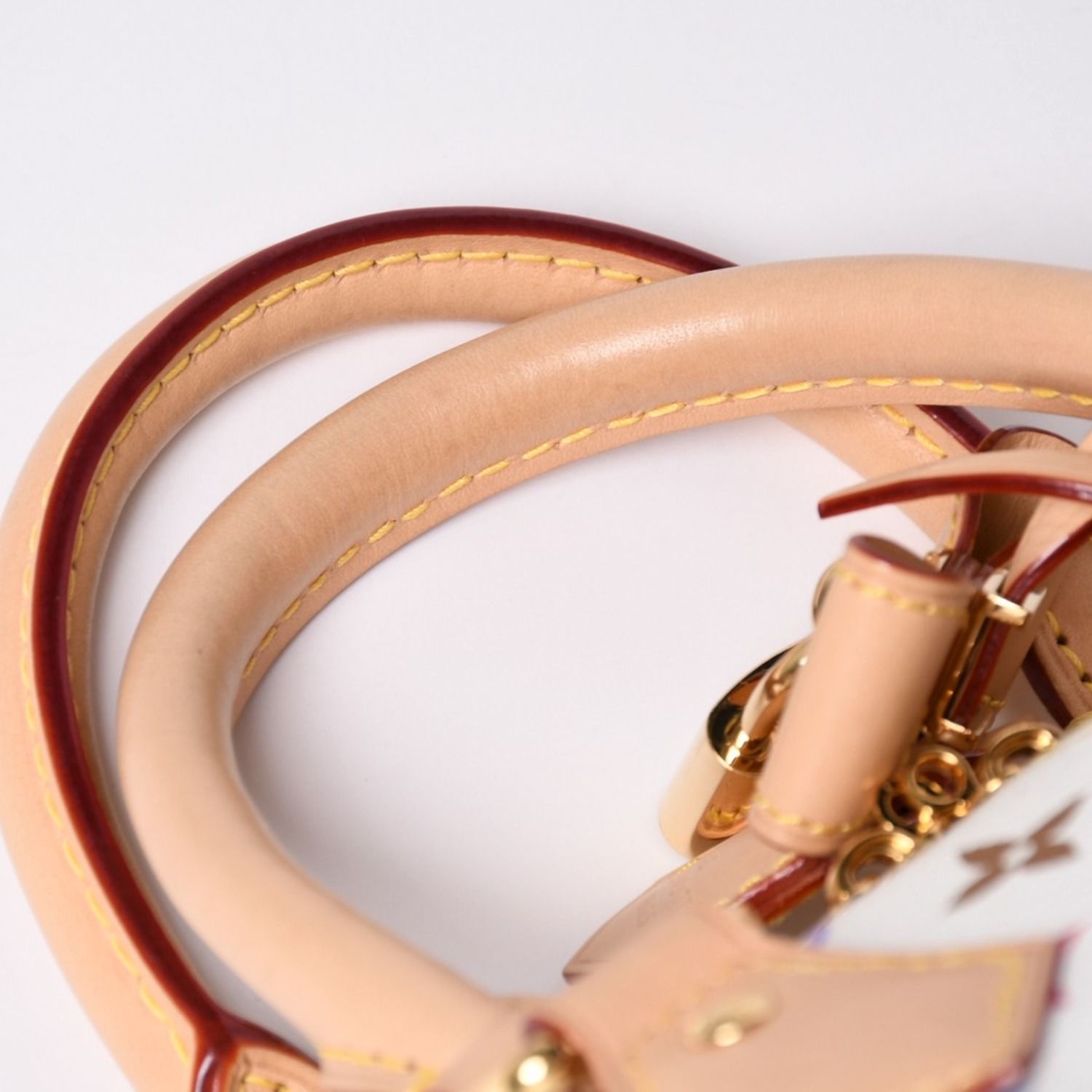 極美品 LOUIS VUITTON ルイヴィトン 2WAYバッグ スピーディ バンド 