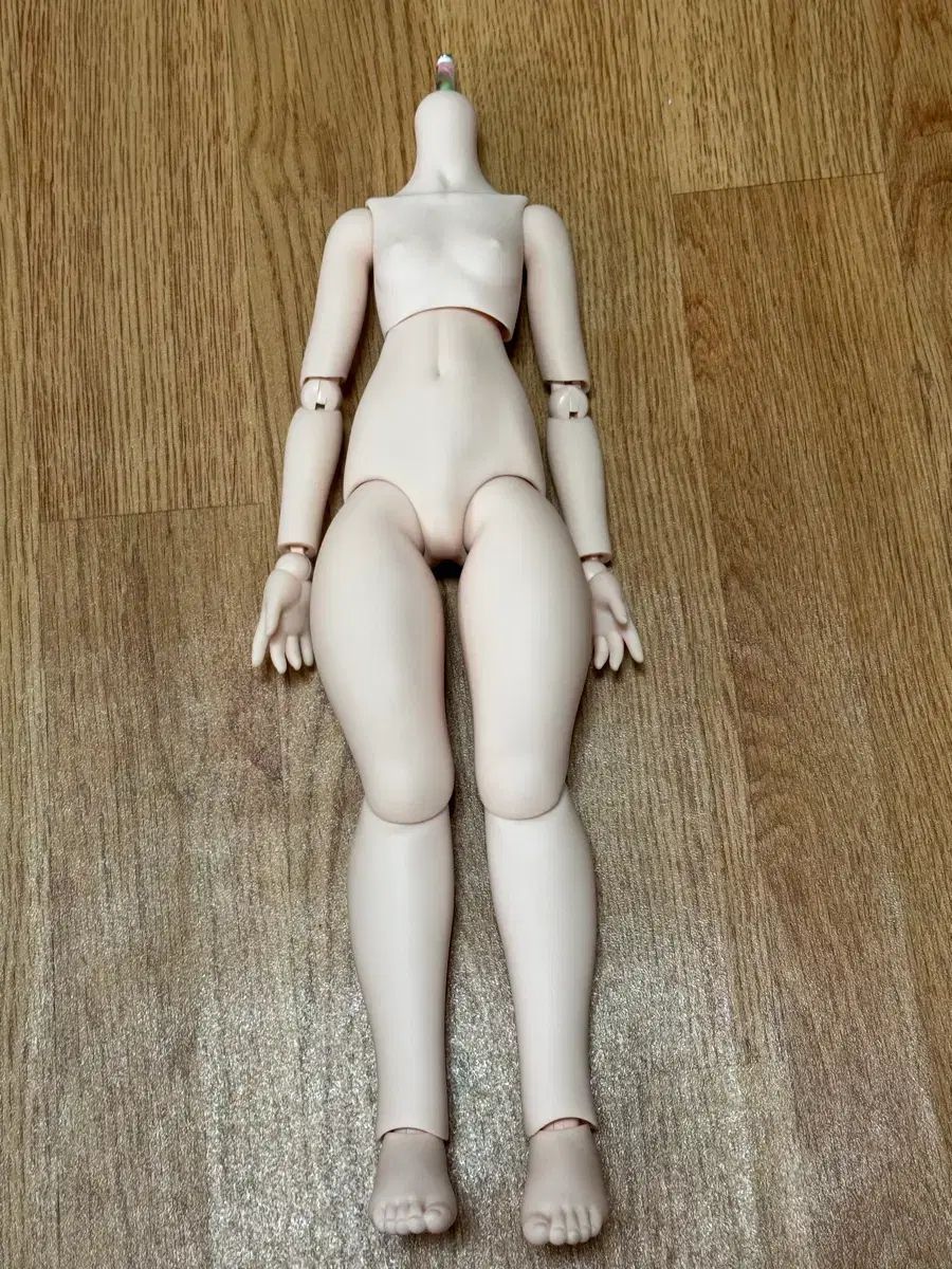 Mddドールフィードリームウールもち足セミ白ボディ