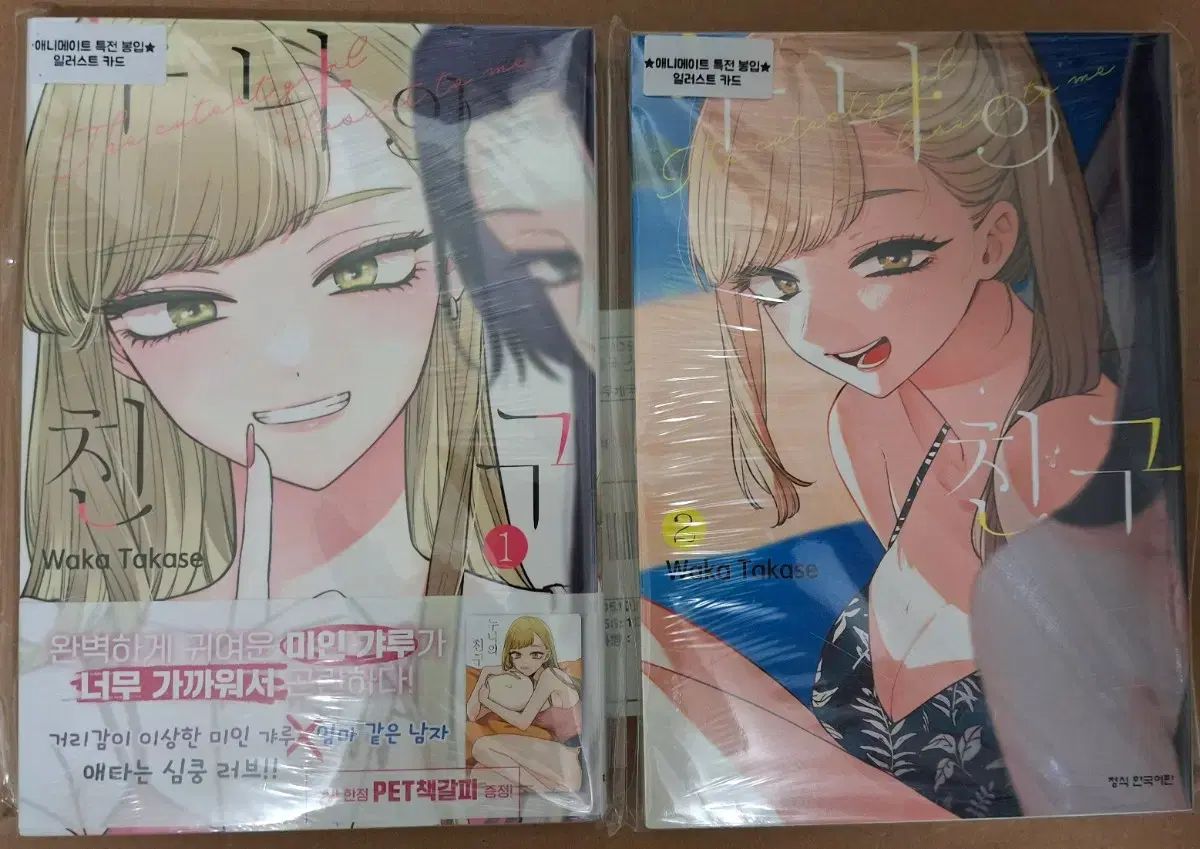 未開封) 姉さん 友達 アニメイト 1 2 巻