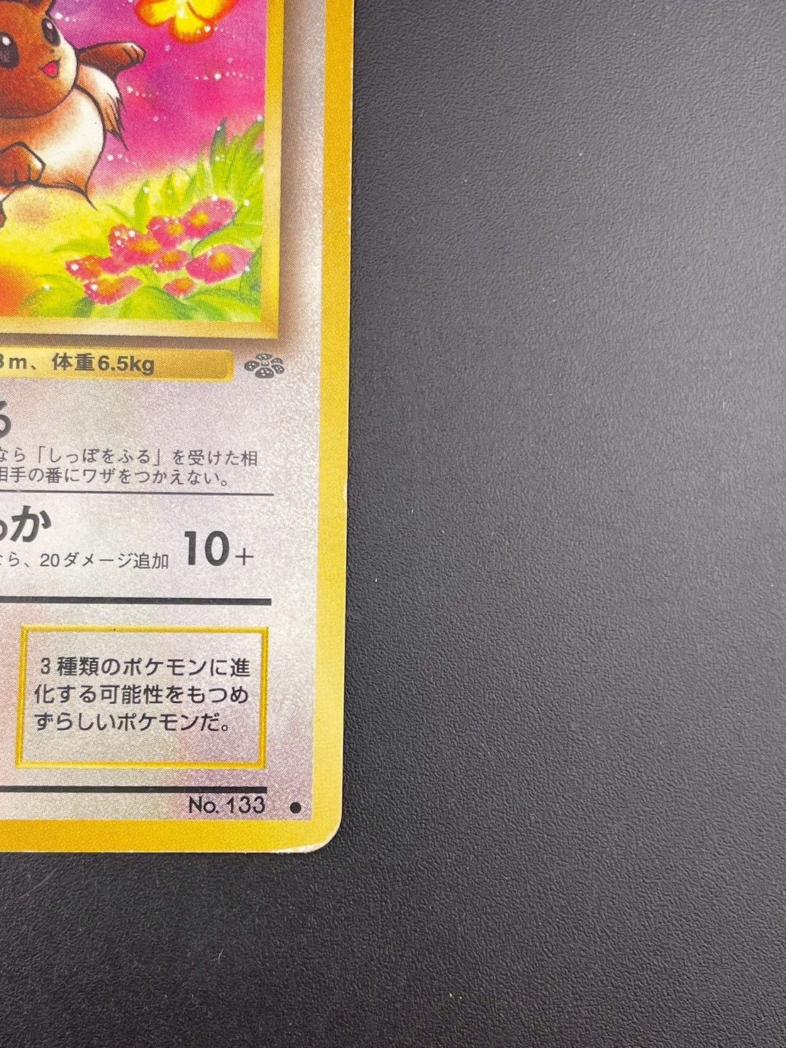 中古品】 イーブイ LV.12 No.133 ○ 拡張パック ポケモンジャングル 旧