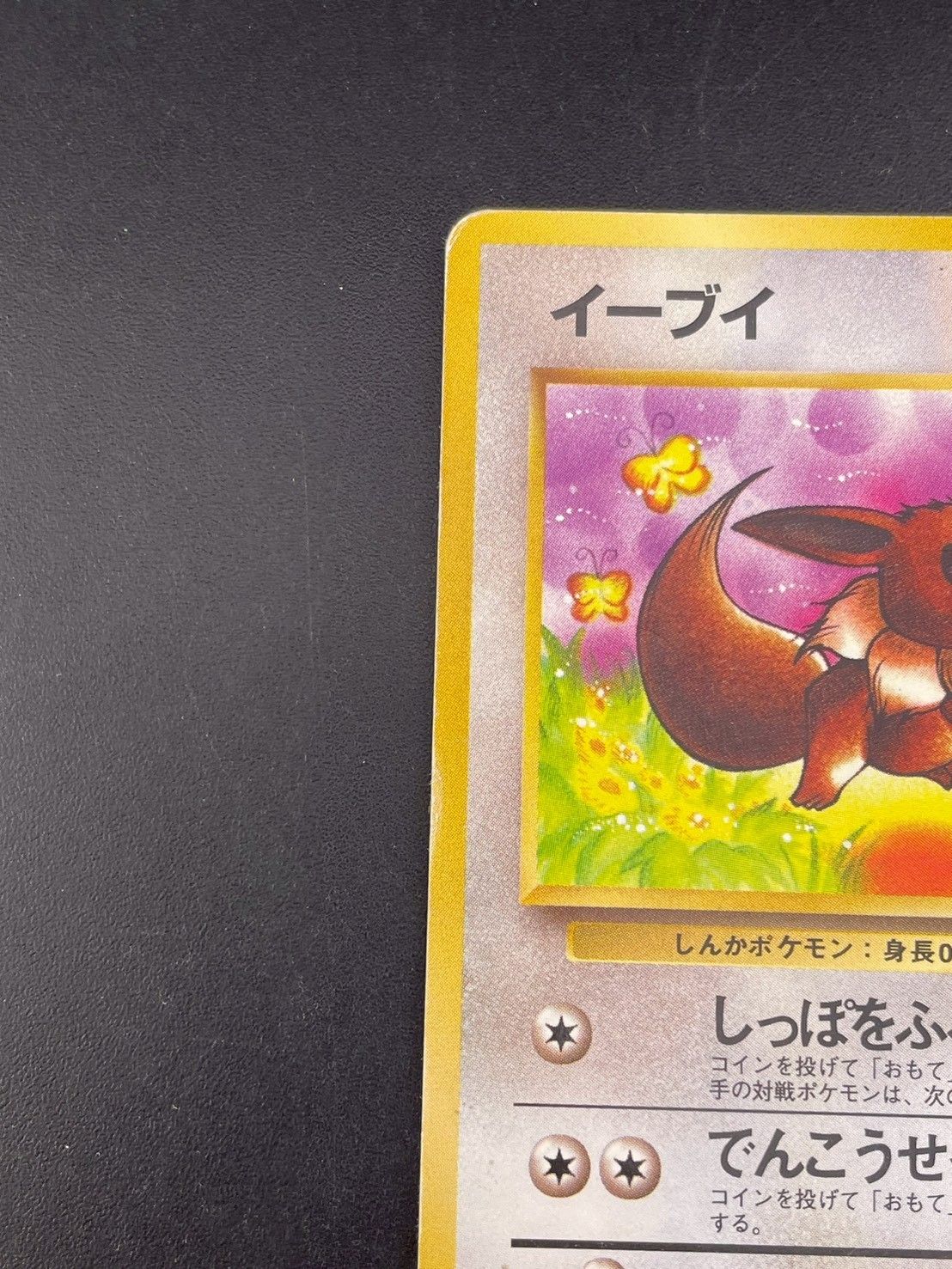 中古品】 イーブイ LV.12 No.133 ○ 拡張パック ポケモンジャングル 旧