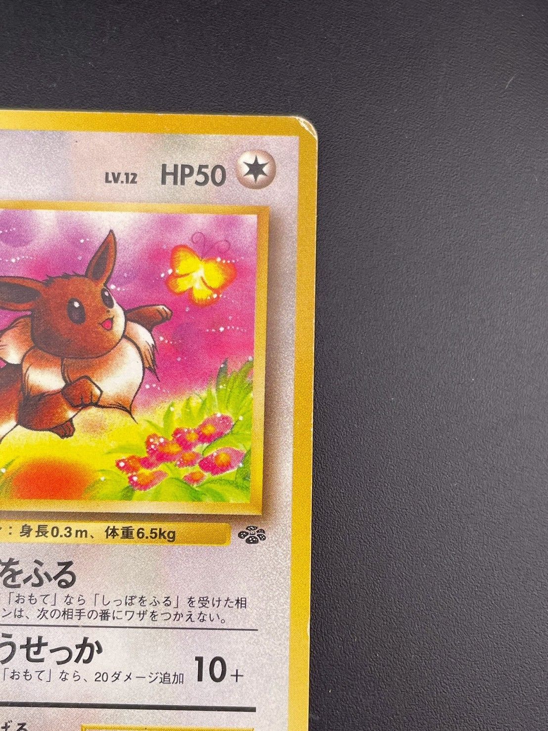 中古品】 イーブイ LV.12 No.133 ○ 拡張パック ポケモンジャングル 旧