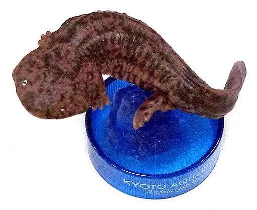 【中古】トレーディングフィギュア オオサンショウウオ(在来種/黒) 「京都水族館フィギュアコレクション」