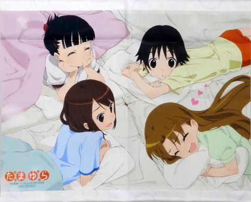 【中古】タペストリー 集合 A3タペストリー 「たまゆら コンプリートBlu-ray BOX」 とらのあな購入特典