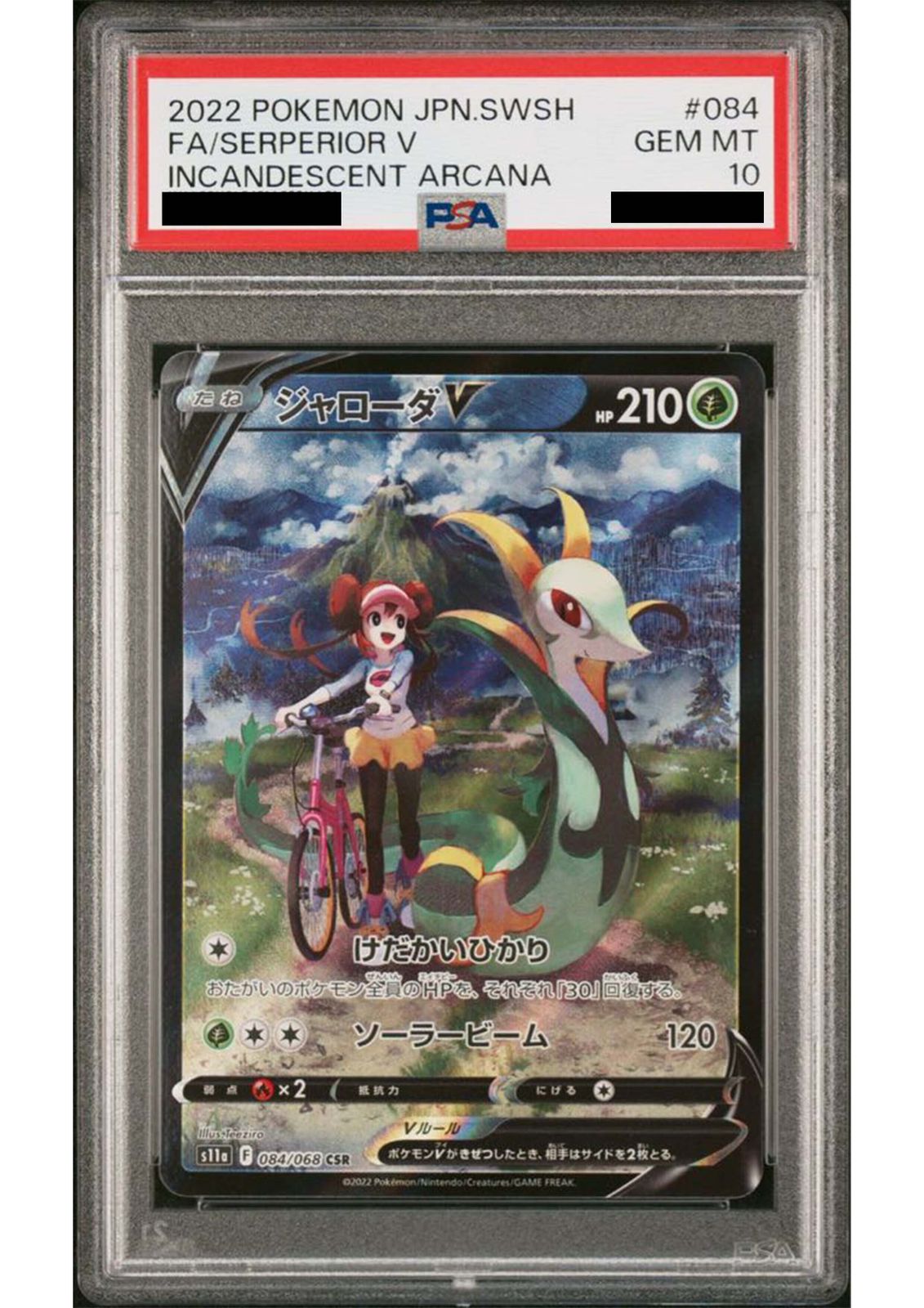 ジャローダV CHR PSA10 PSA10】ジャローダV CSR 084/068 1枚 - メルカリ