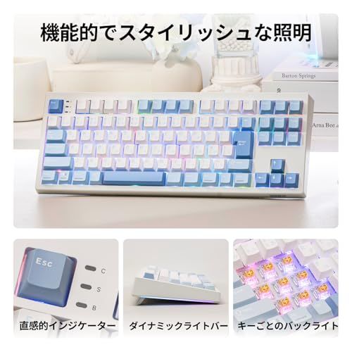 EPOMAKER TH87 JIS 日本語配列 TKL ワイヤレスゲーミングキーボード 2.4GHz/BT5.0/有線 テンキーレス ホットスワップ対応 10000mAh 無線 メカニカルキーボード 91キーリニアスイッチ RGBバックライト 1f4b6e03