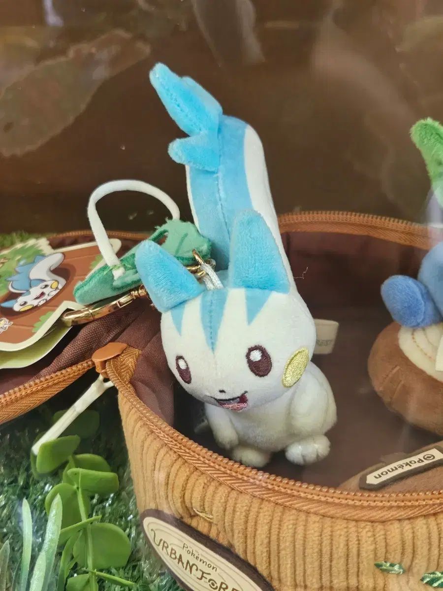 未開封) ポケモン ソウル スープ パチリス ぬいぐるみ キーホルダー