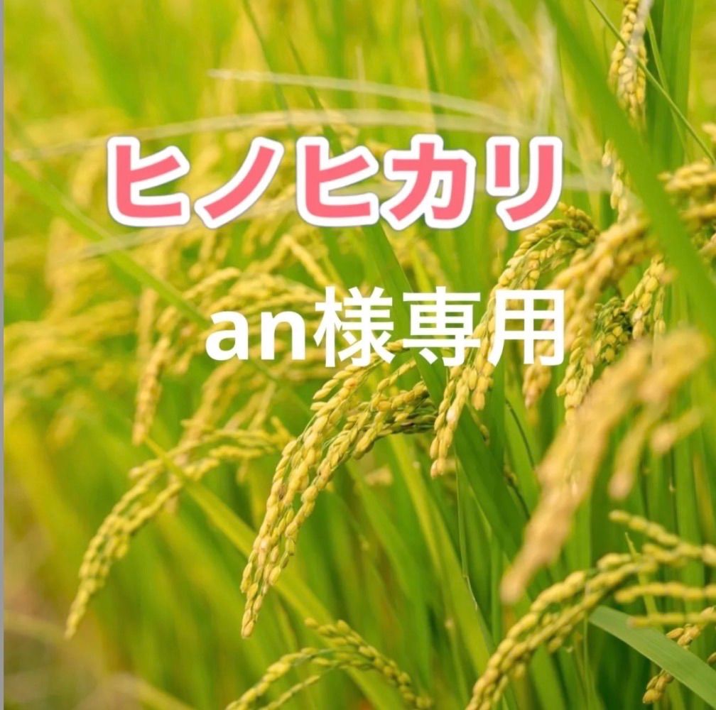 専用ページ ヒノヒカリ10キロ