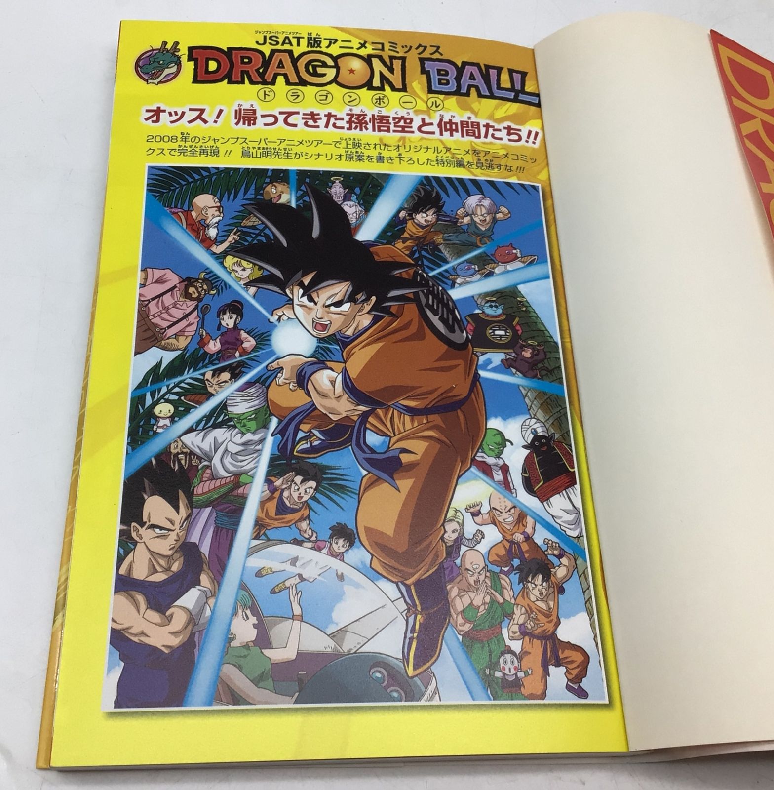 5145 DRAGON BALL オッス!帰ってきた孫悟空と仲間たち!! JSAT版アニメ