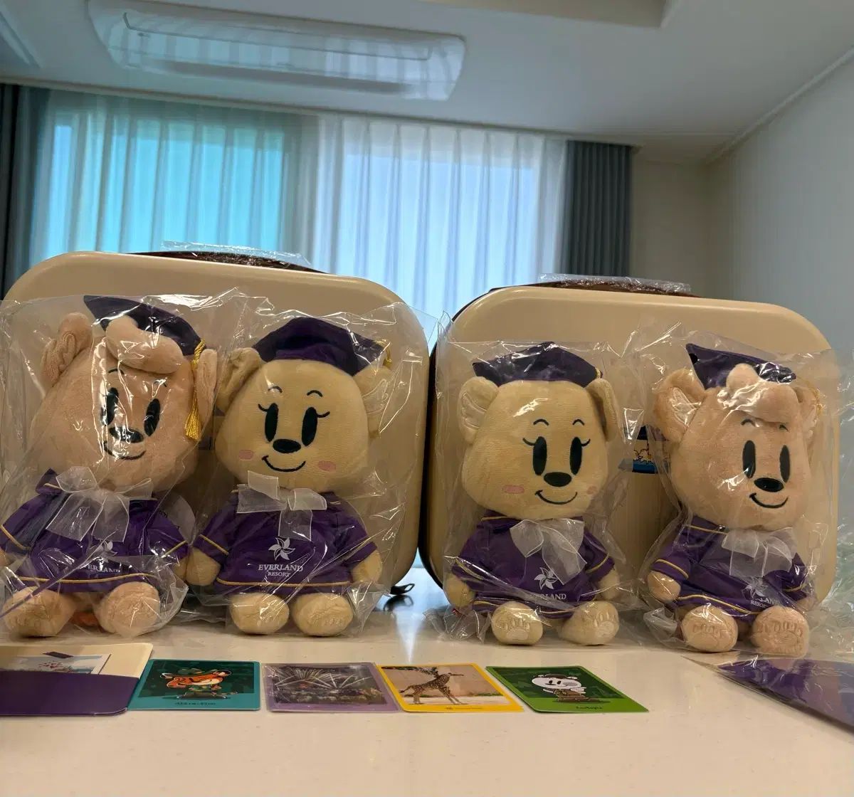 EVERLAND 限定モデル