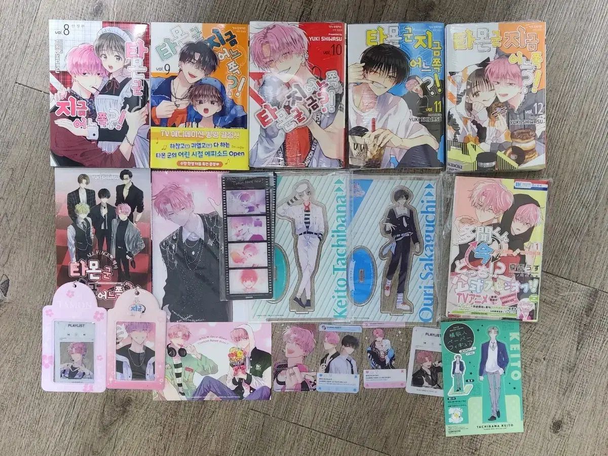 タモン君 今 どちら 出品