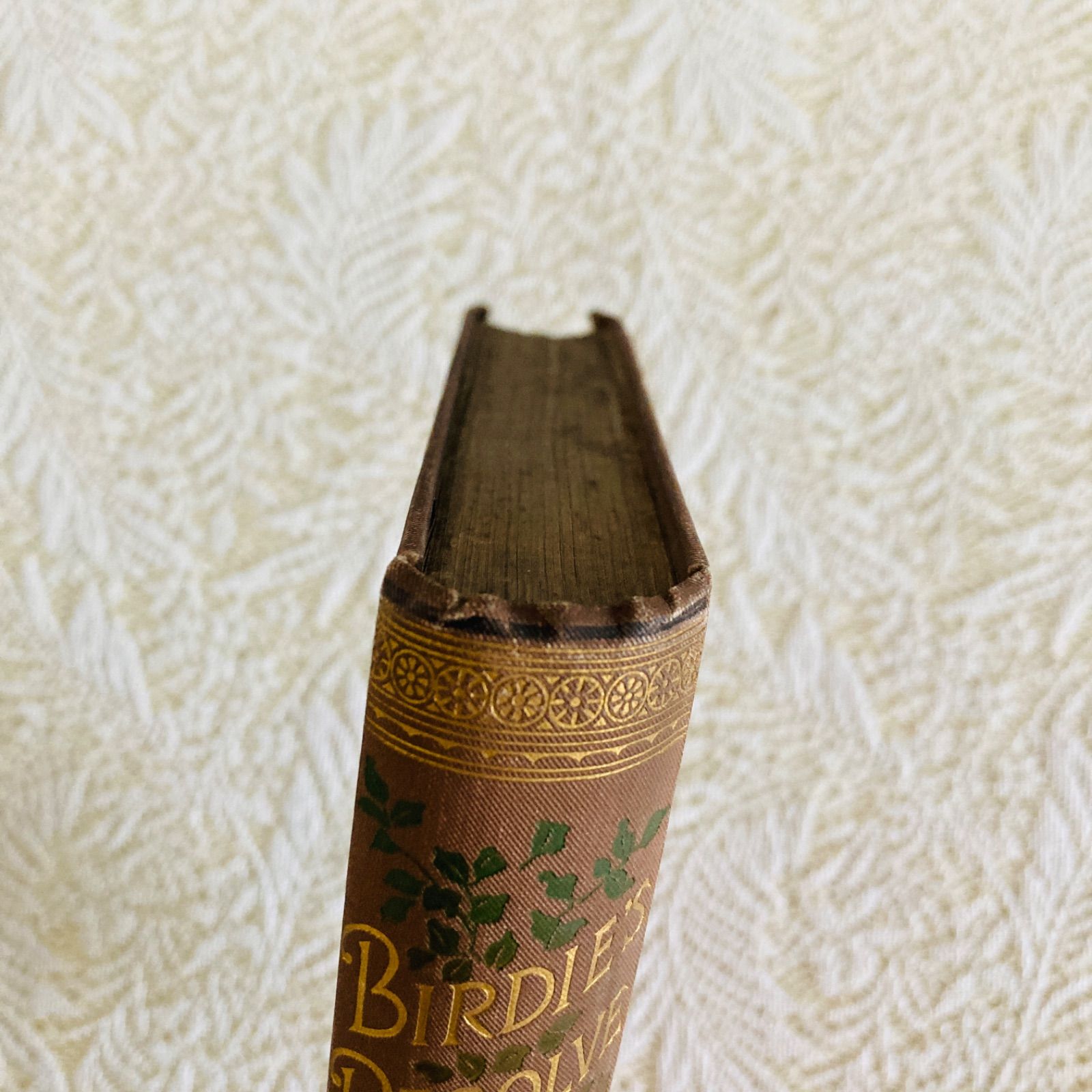 ヴィクトリア朝の気品ある装丁 アンティーク児童書 1892年 インテリア