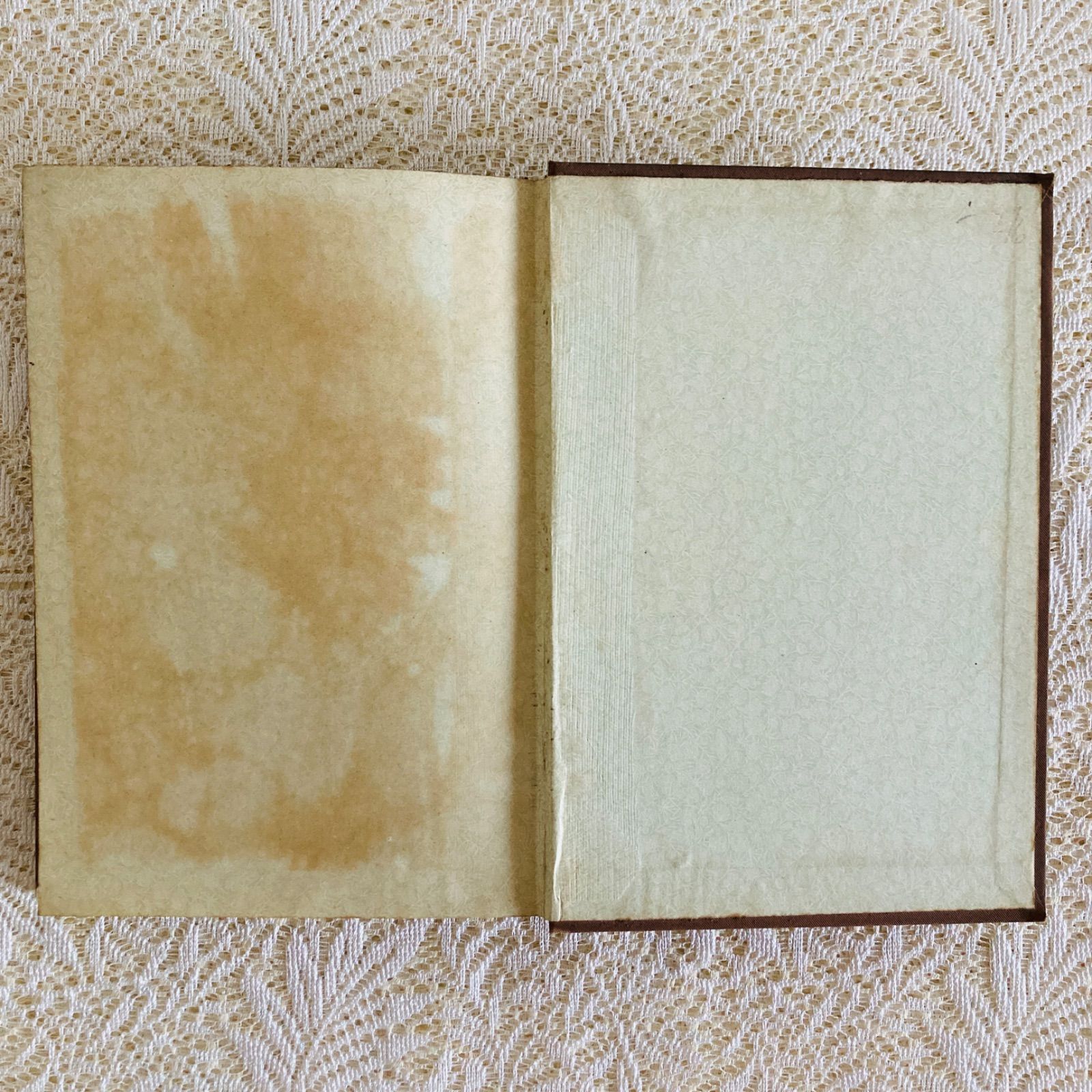 ヴィクトリア朝の気品ある装丁 アンティーク児童書 1892年 インテリア