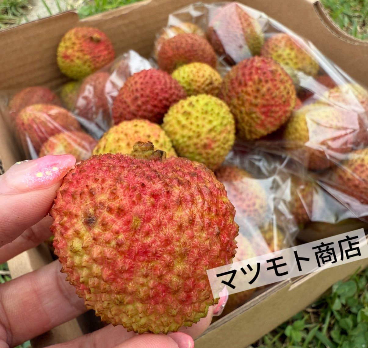 新鮮生ライチ 2kg クール便発送＊夏ギフトに - メルカリ
