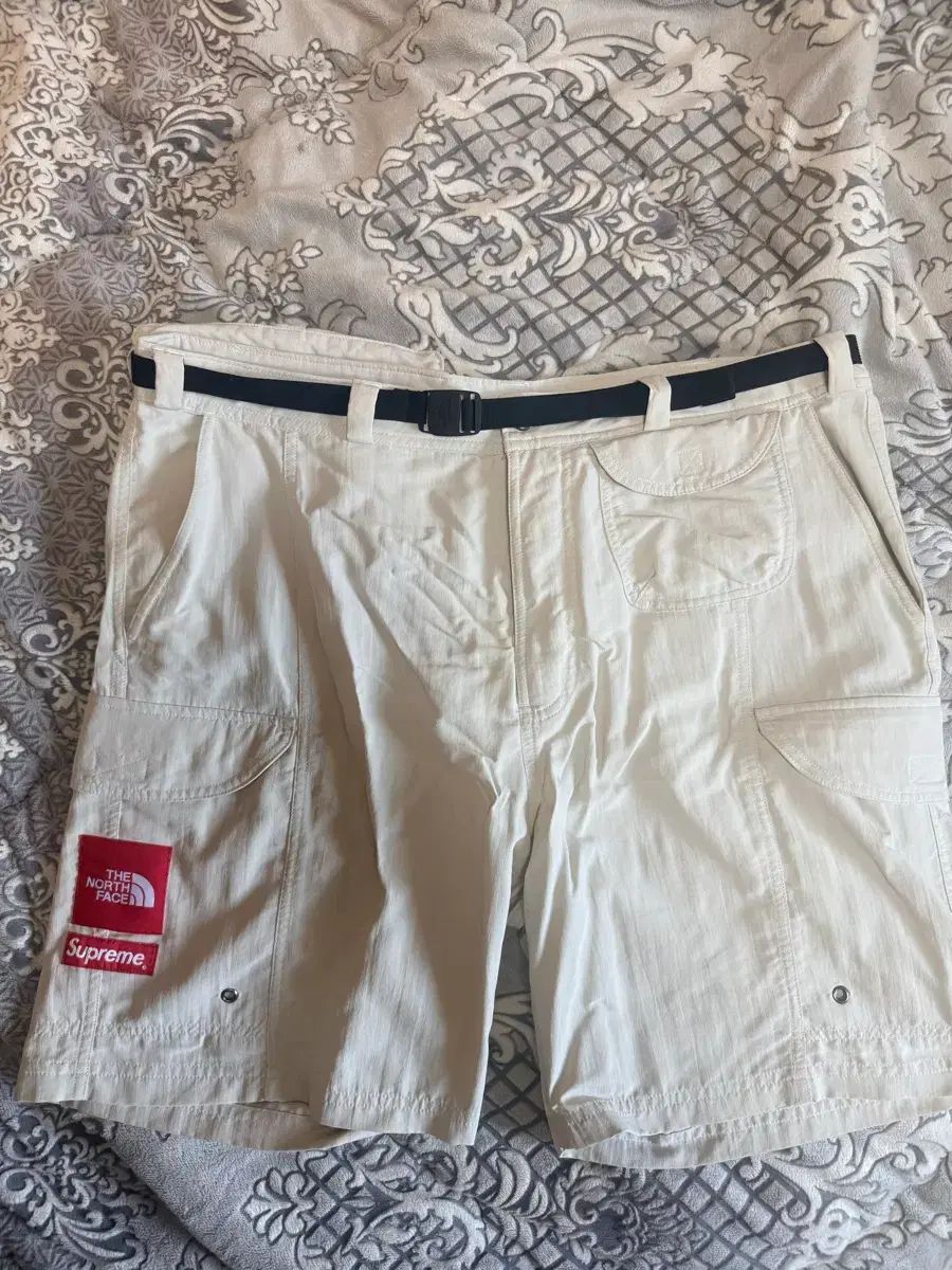 Supreme × THE NORTH FACE ザノースフェイス トレッキング パッカブル ベルト ショーツ ストーン - 22SS