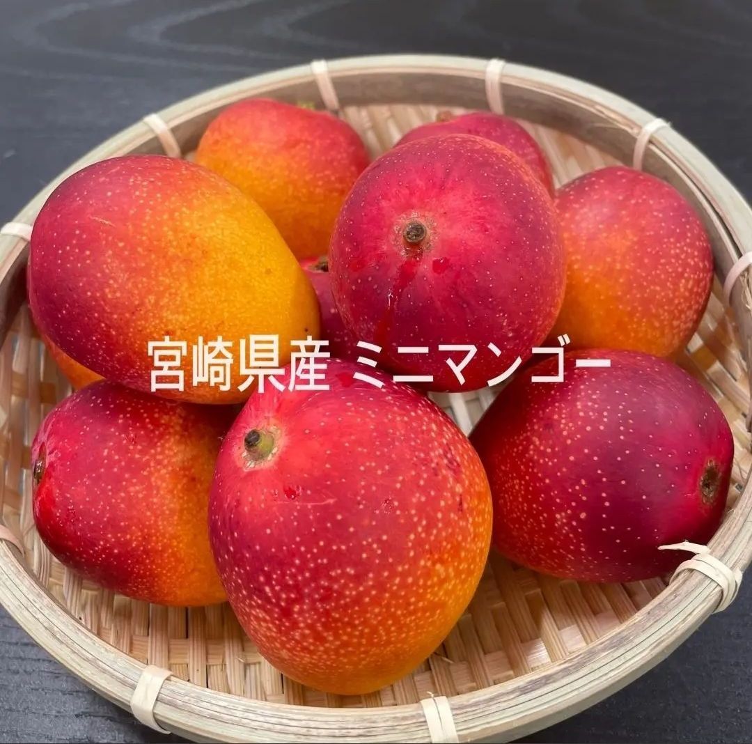 おーちゃん　様　専用ページ