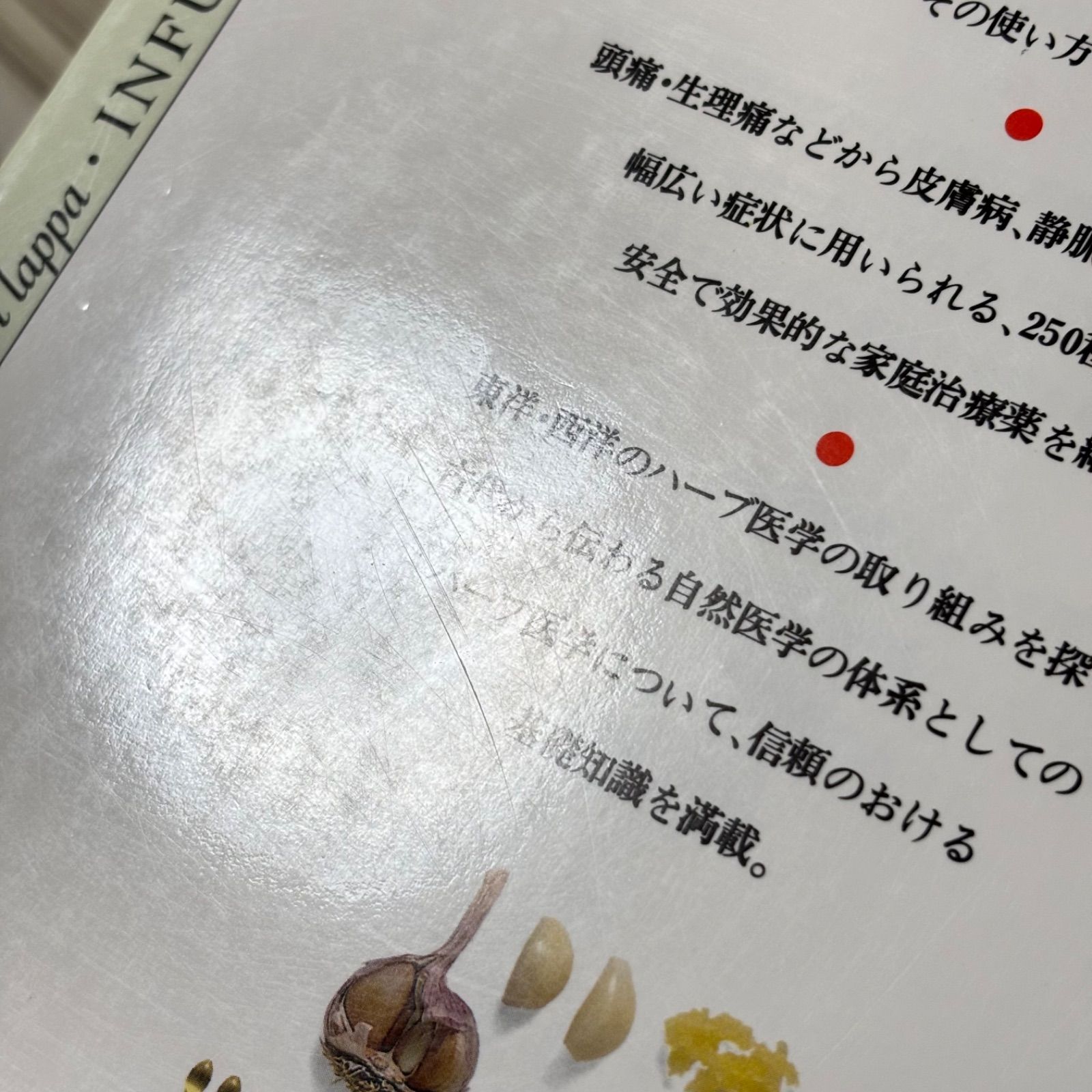 メディカルハーブ 薬用ハーブ完全図解ガイド - メルカリ