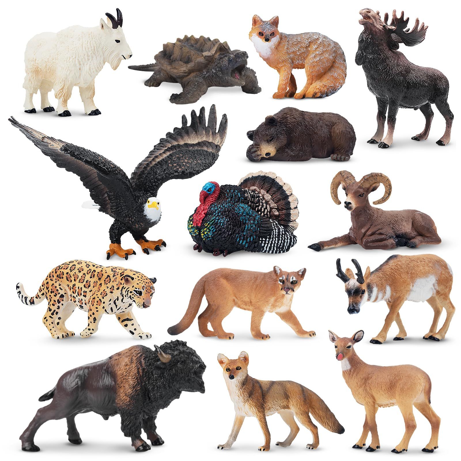 TOYMANY 14PCS ミニ北アメリカの野生動物フィギュア、リアルな