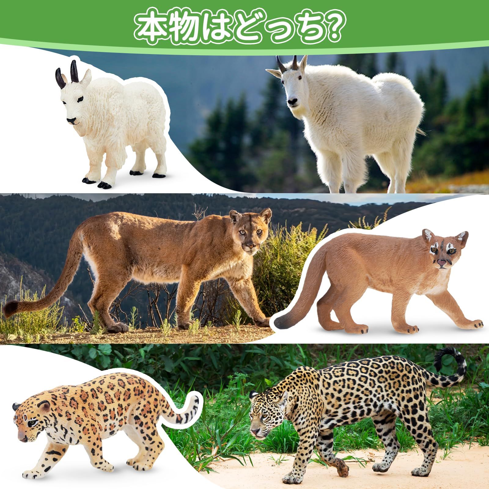 TOYMANY 14PCS ミニ北アメリカの野生動物フィギュア、リアルな