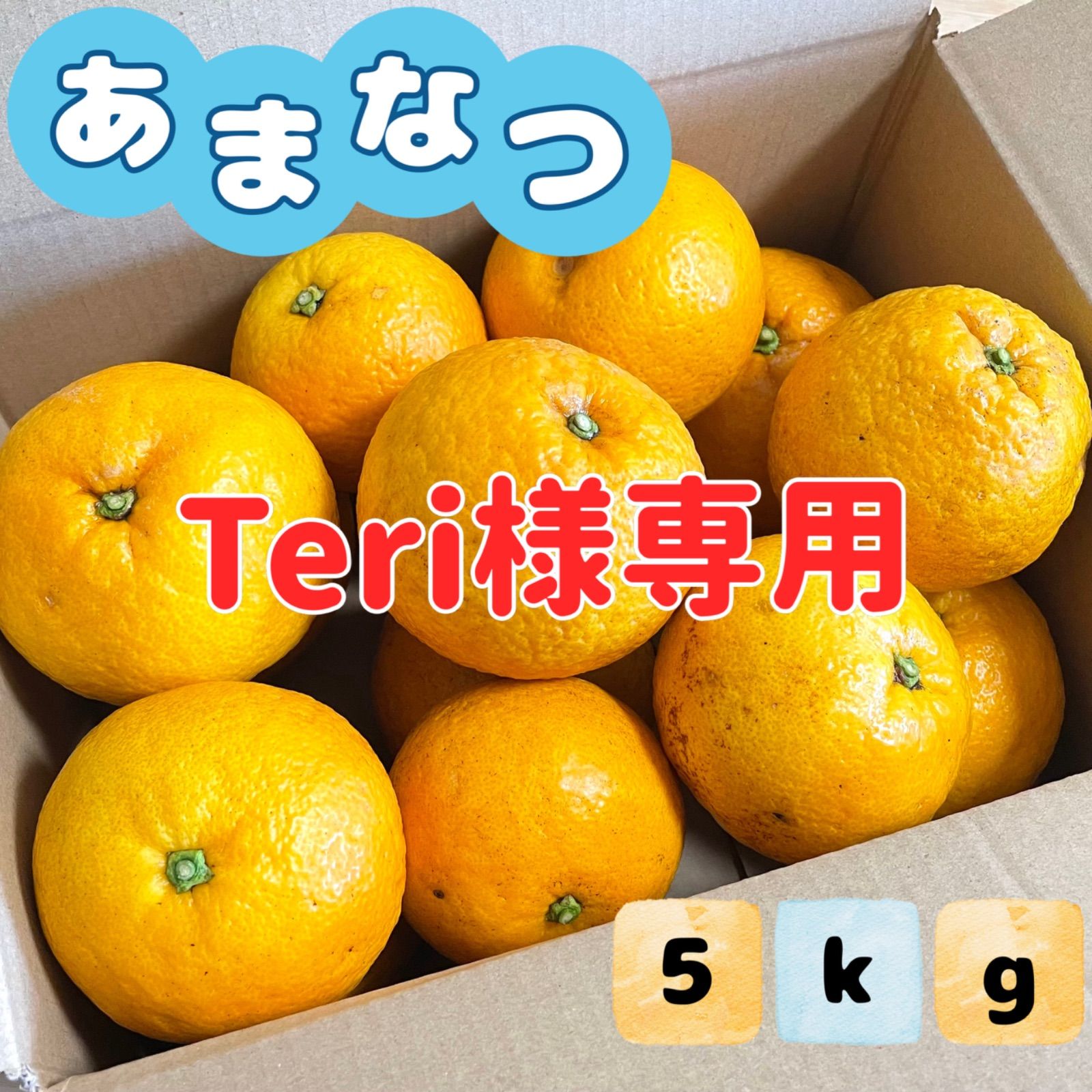 夏みかんさま　専用ページ みかん様 リクエスト 5点 まとめ商品 R82488411 オンライン