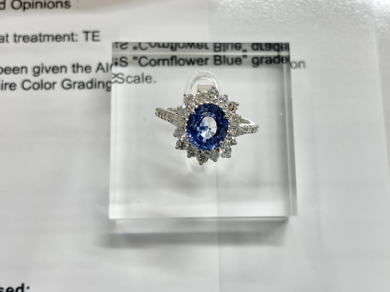 サファイア 1.04ct コンフラワーブルー Cornflower blue AIGS鑑別書 D0
