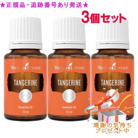 YOUNG LIVING ヤング・リビング シングルエッセンシャルオイル Young Living ヤングリビング 3点セット