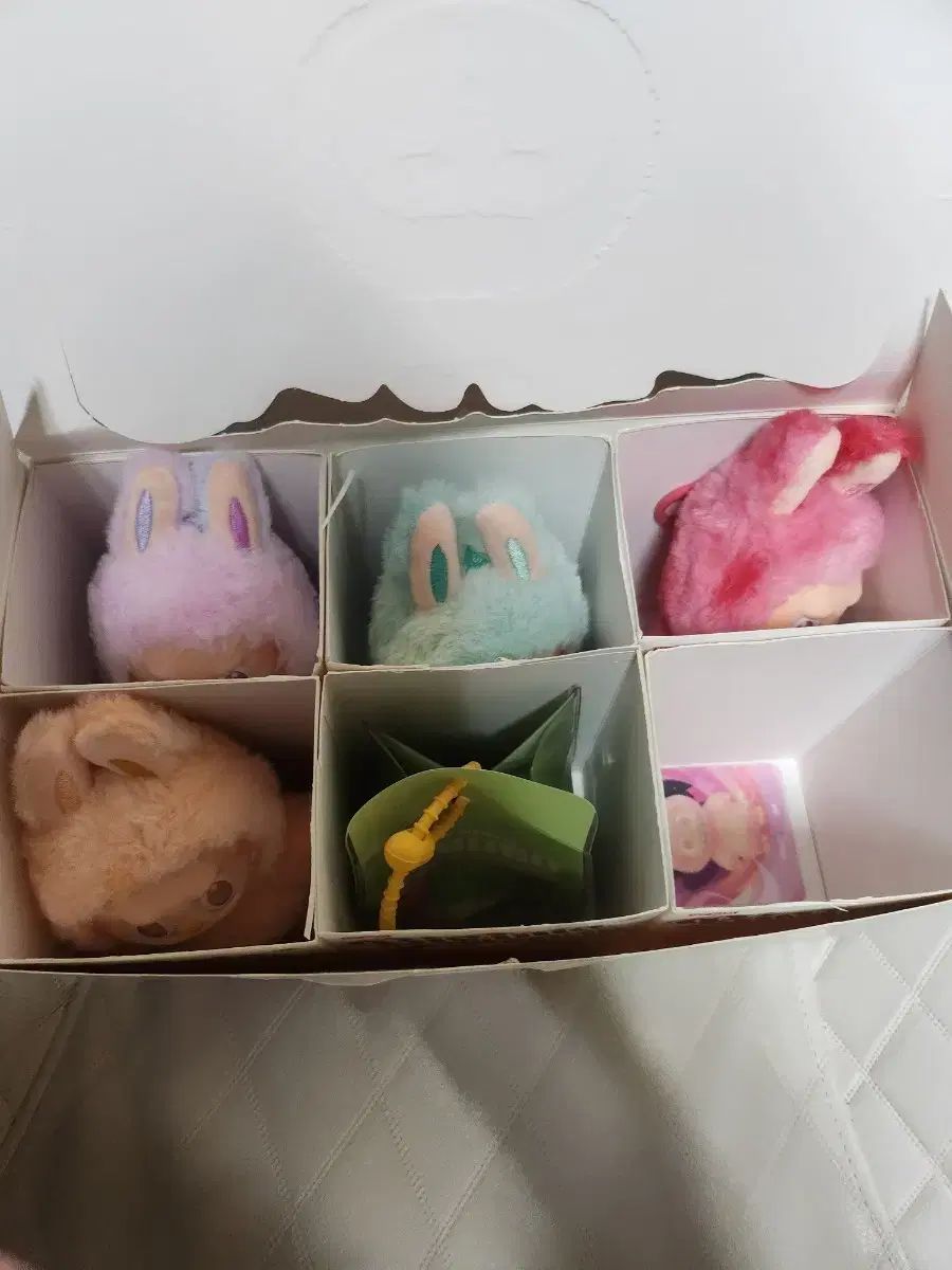 Labubu(ラブブ)正規品 5個 出品