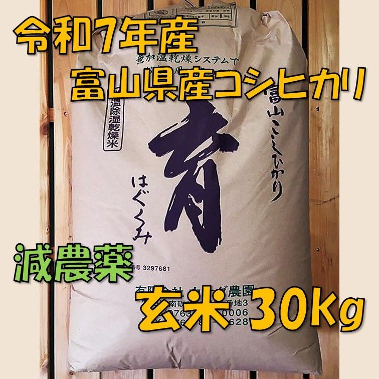 令和7年産 富山県産コシヒカリ30kg玄米 減農薬 - メルカリ
