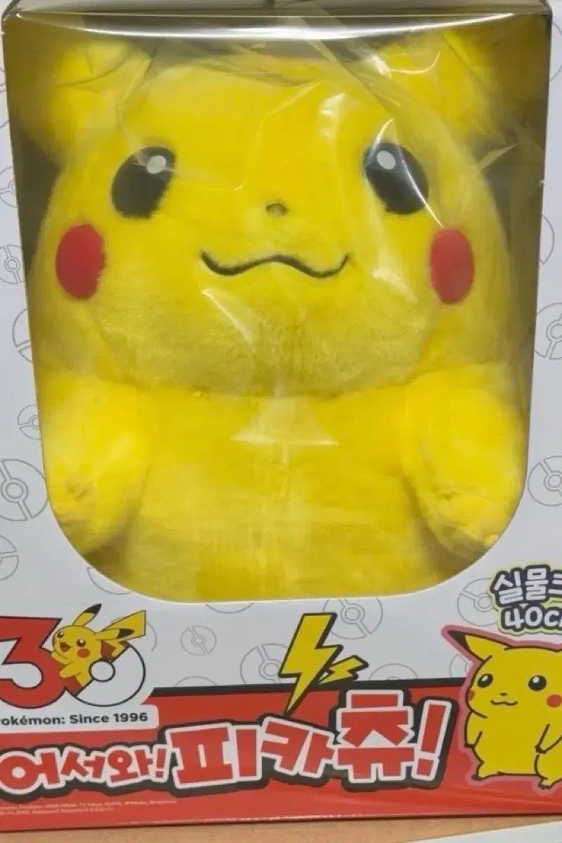 ポケットモンスター 30周年 ピカチュウ ぬいぐるみ