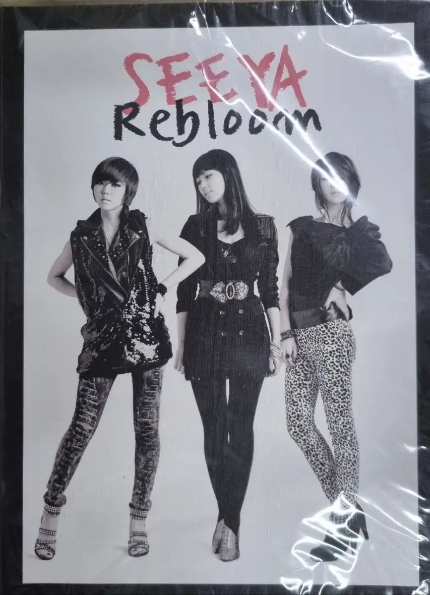 シーヤ- Seeya Rebloom