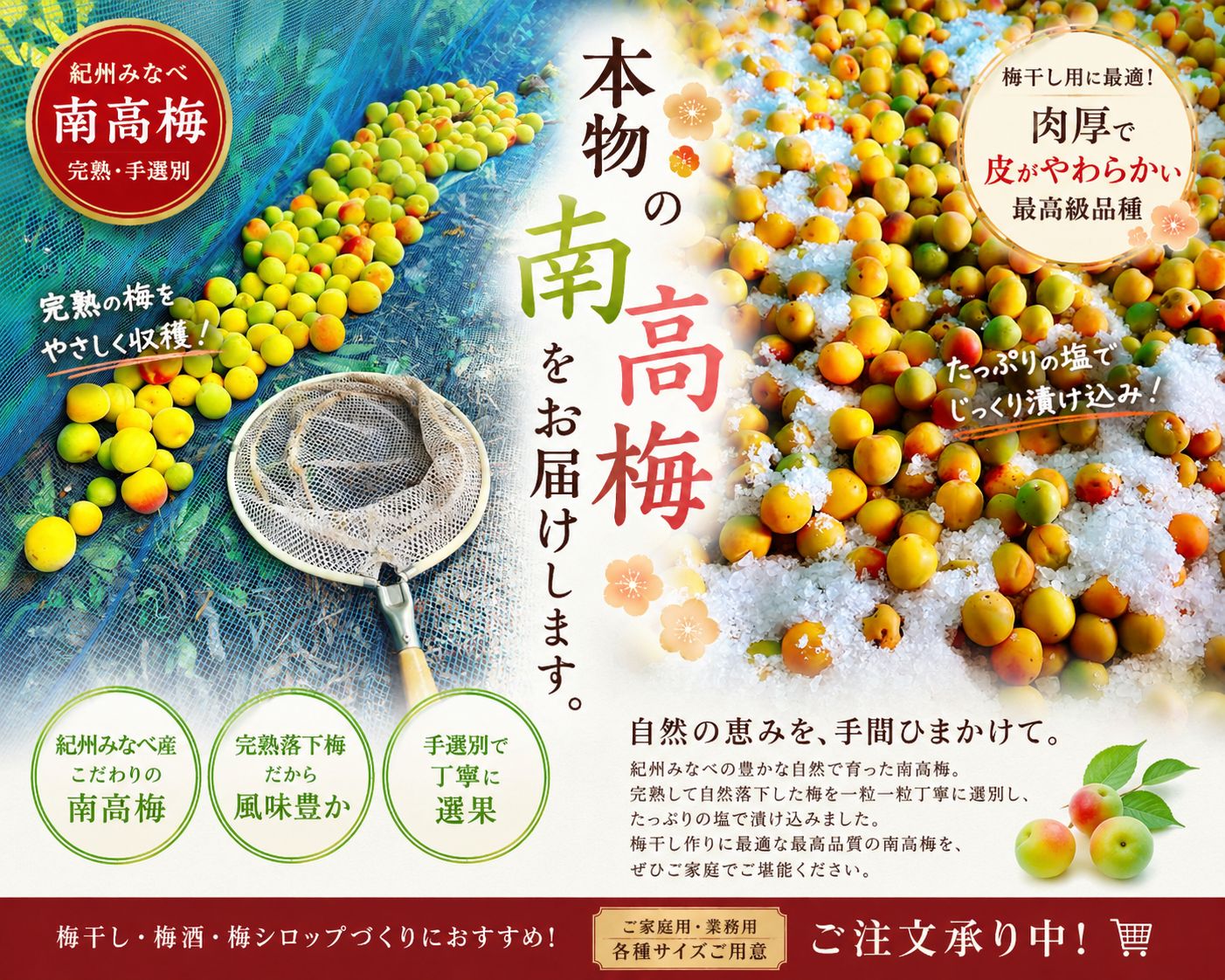 6月発送】紀州南高梅 10kg 家庭用 ジャム・梅酒に - メルカリ