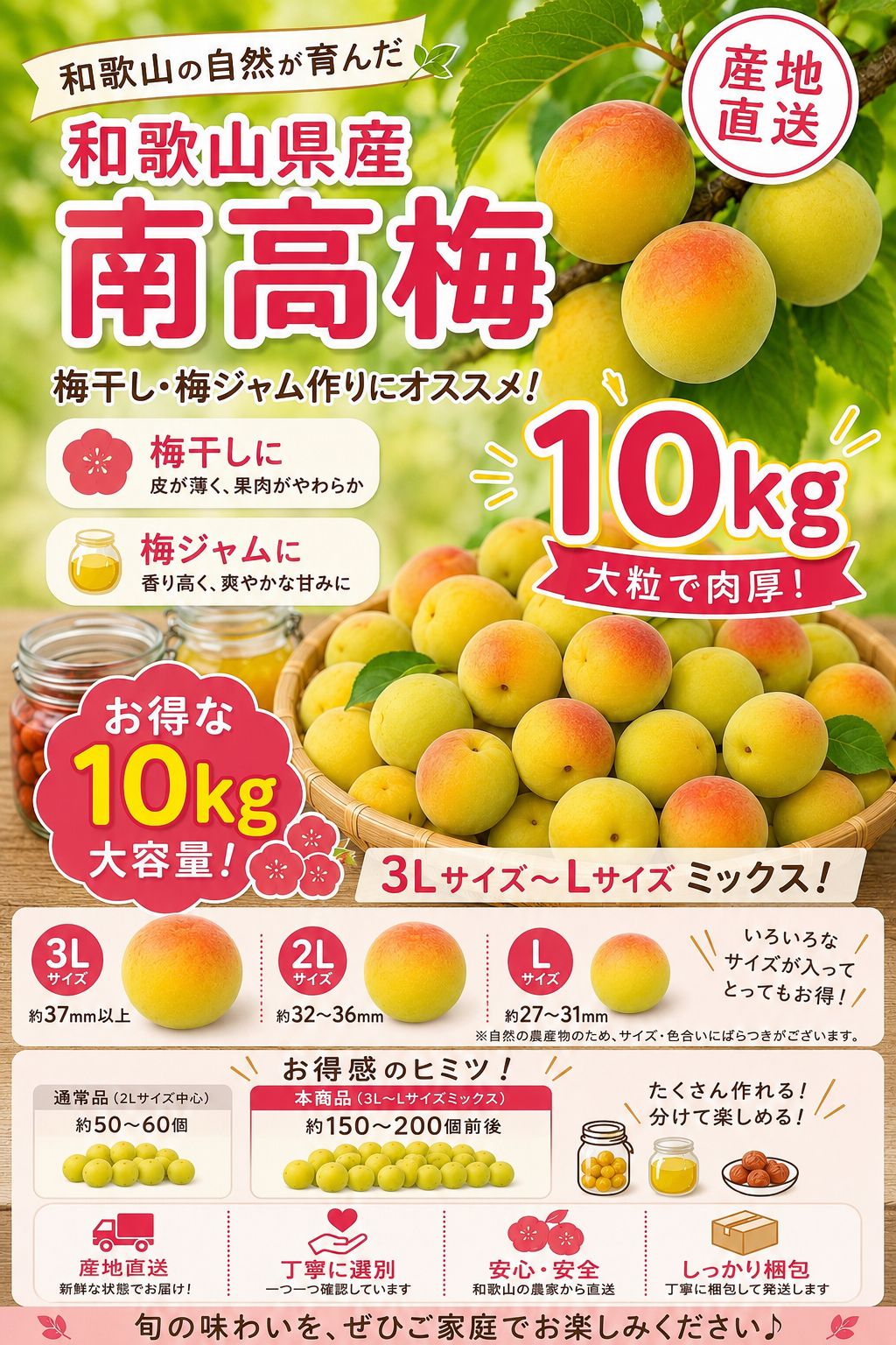 6月から発送です‼️和歌山県産　紀州南高梅　梅干し ジャム用10kgみかんキング