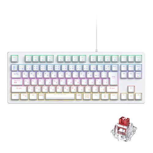 ☆新品☆iClever ゲーミングキーボード テンキーレス 赤軸 メカニカル キーボード 日本語配列 有線 91キー 80%サイズ カスタマイズ 24種類 バックライト ゲーム/オフィス用 パソコンキーボード Windows対応 G06 (ホ 5b4c0077