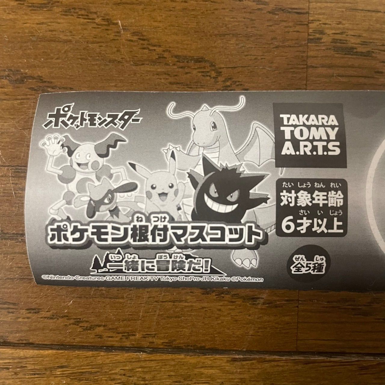 ポケモン 根付マスコット 一緒に冒険だ！ ガチャ 全5種コンプリート